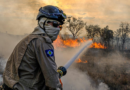 Bombeiros de MT extinguem incêndio no Parque Serra Azul em Barra do Garças e combatem outros 41