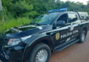 Polícia Civil retira de circulação 1,3 tonelada de drogas na região de fronteira de MT com a Bolívia